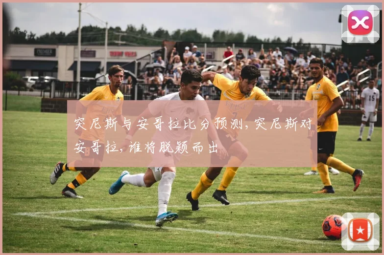 突尼斯与安哥拉比分预测,突尼斯对安哥拉,谁将脱颖而出