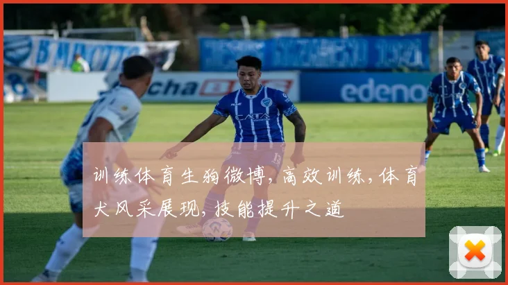 训练体育生狗微博,高效训练,体育犬风采展现,技能提升之道