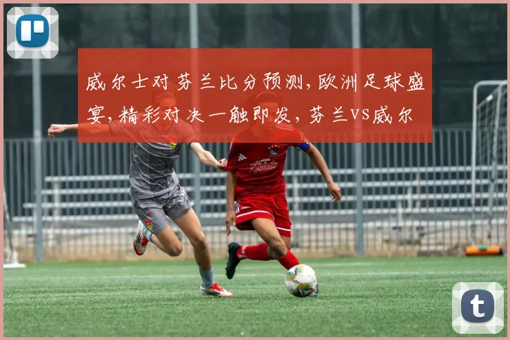 威尔士对芬兰比分预测,欧洲足球盛宴,精彩对决一触即发,芬兰vs威尔士悬念重重